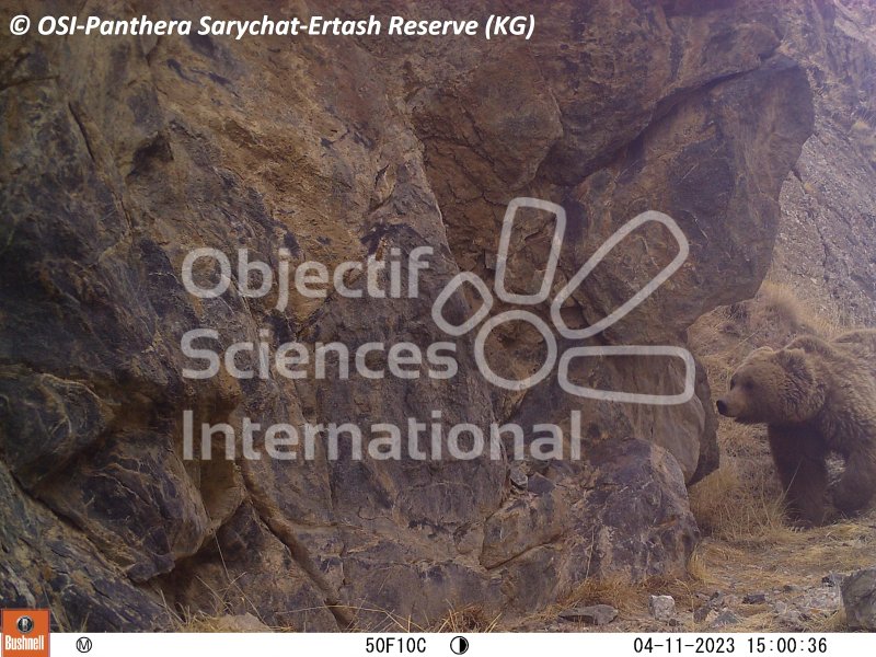 ours
Keywords: Nord de Sarychat-Ertash,Kirghizstan