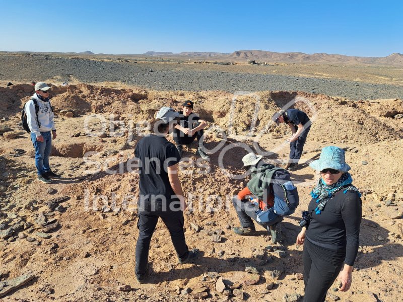 IMG-20240219-WA0057
Keywords: Dinosaure, Maroc, Paléo, expedition, fossiles