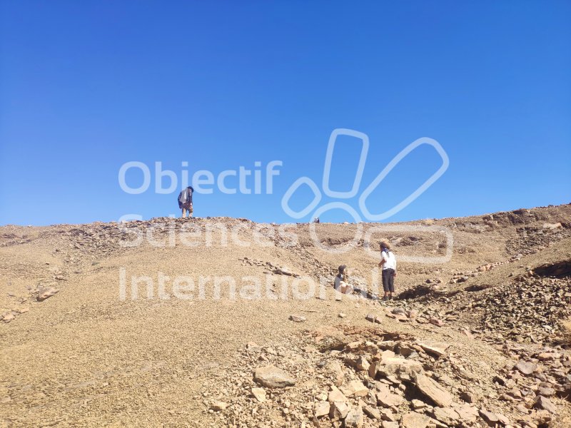 IMG_20240212_140813
Keywords: Paléontologie,Maroc,expedition,fossile,dinosaure,sensibilisation