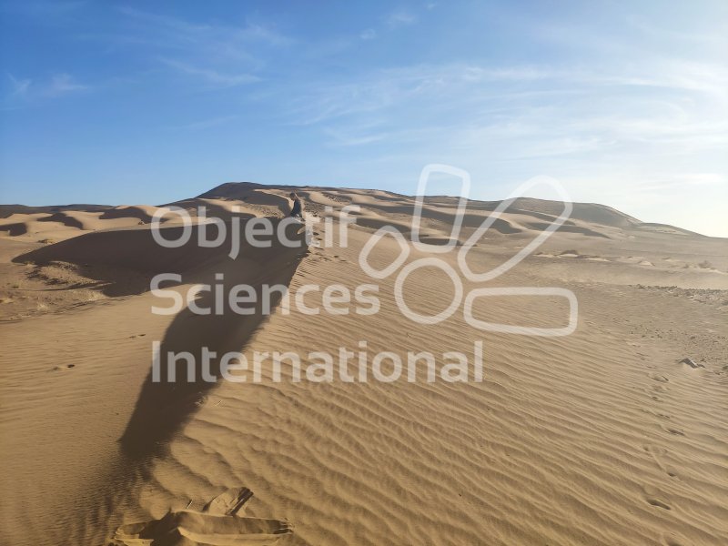 IMG_20240213_171354
Keywords: Paléontologie, Maroc, expedition, fossile, dinosaure, sensibilisation