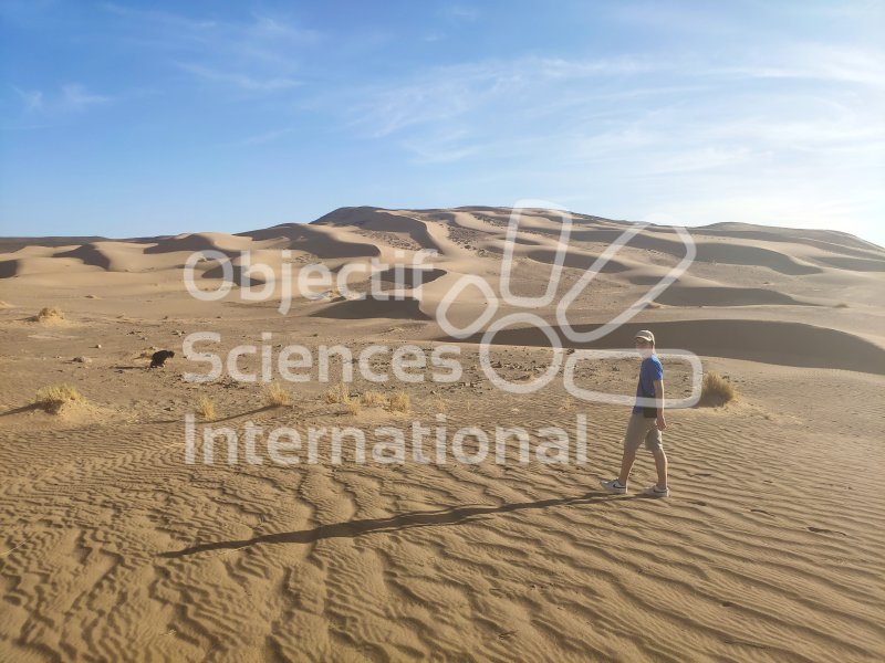 IMG_20240213_171643
Keywords: Paléontologie,Maroc,expedition,fossile,dinosaure,sensibilisation