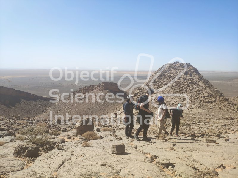 IMG_20240219_123324
Keywords: Dinosaure,Maroc,Paléo,expedition,fossiles