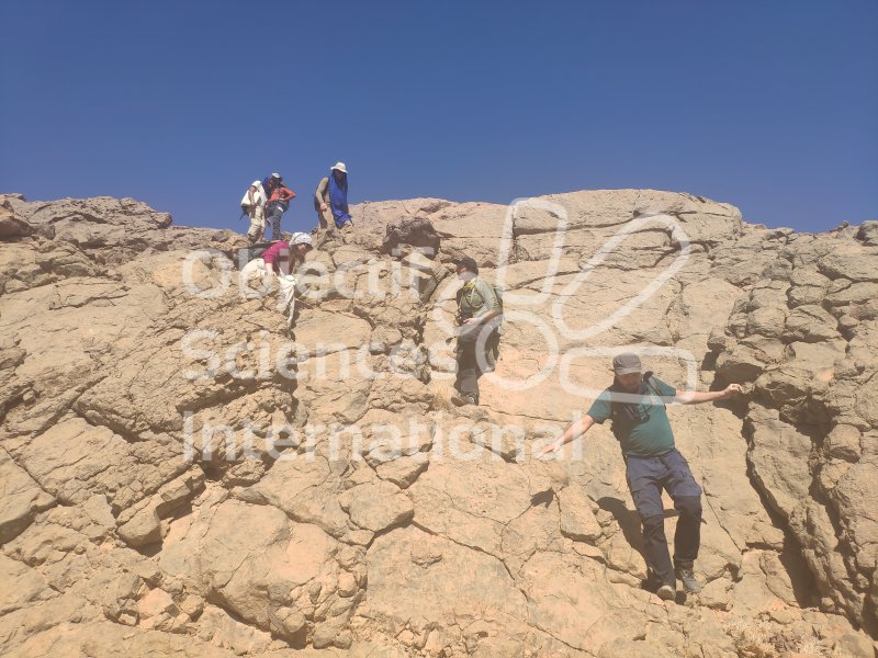IMG_20240219_142139
Keywords: Dinosaure, Maroc, Paléo, expedition, fossiles