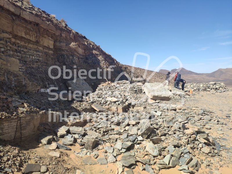 IMG_20240220_125228
Keywords: Dinosaure, Maroc, Paléo, expedition, fossiles