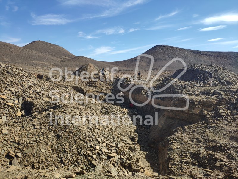 IMG_20240220_155728
Keywords: Dinosaure, Maroc, Paléo, expedition, fossiles