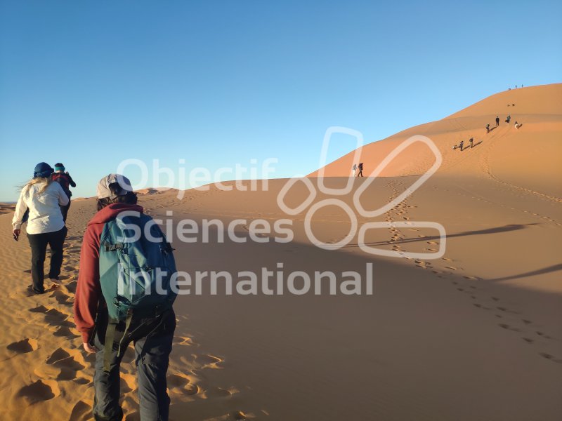 IMG_20240220_183451
Keywords: Dinosaure, Maroc, Paléo, expedition, fossiles