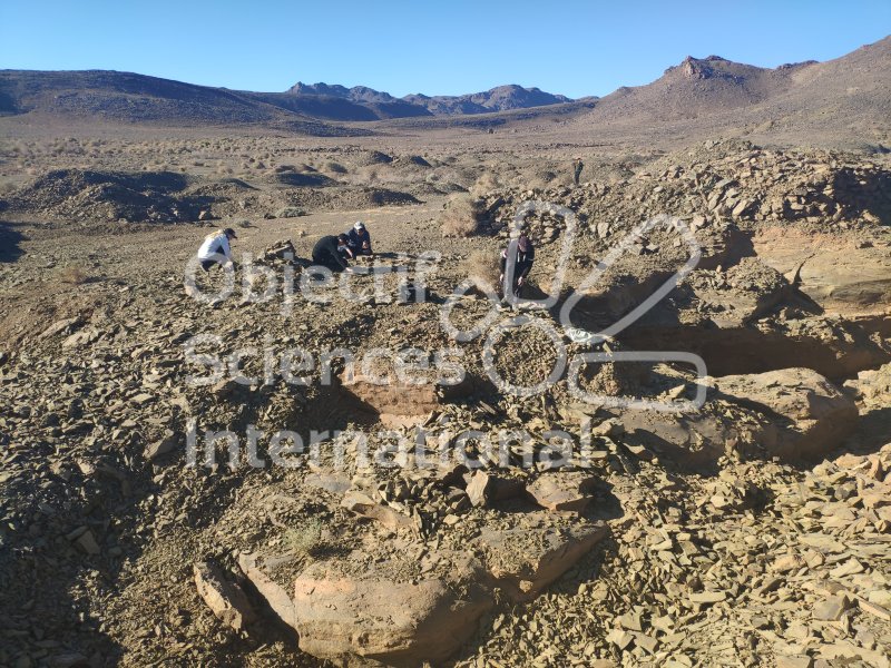 IMG_20240221_095109
Keywords: Dinosaure, Maroc, Paléo, expedition, fossiles