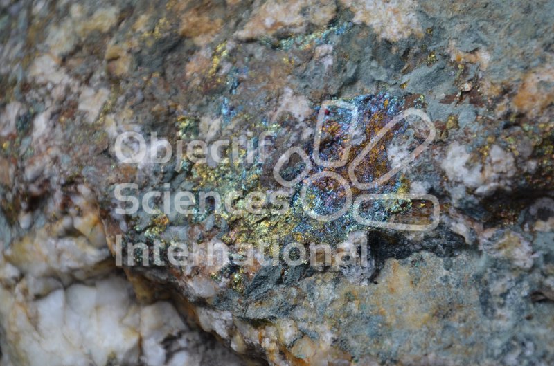 La calcopyrite
Jour 5: Dans l'ancienne mine de cuivre.
Keywords: cristaux,minéral,géologie
