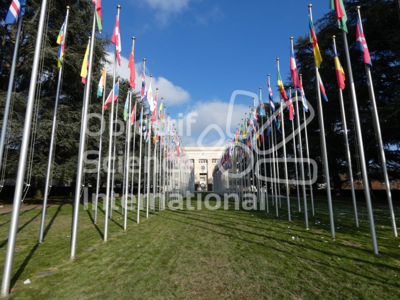 Keywords: ONU, Forum, Genève, OSI, excellence,