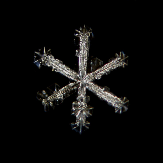 Cristal de neige plan de type Ã©toile avec terminaisons en secteurs
