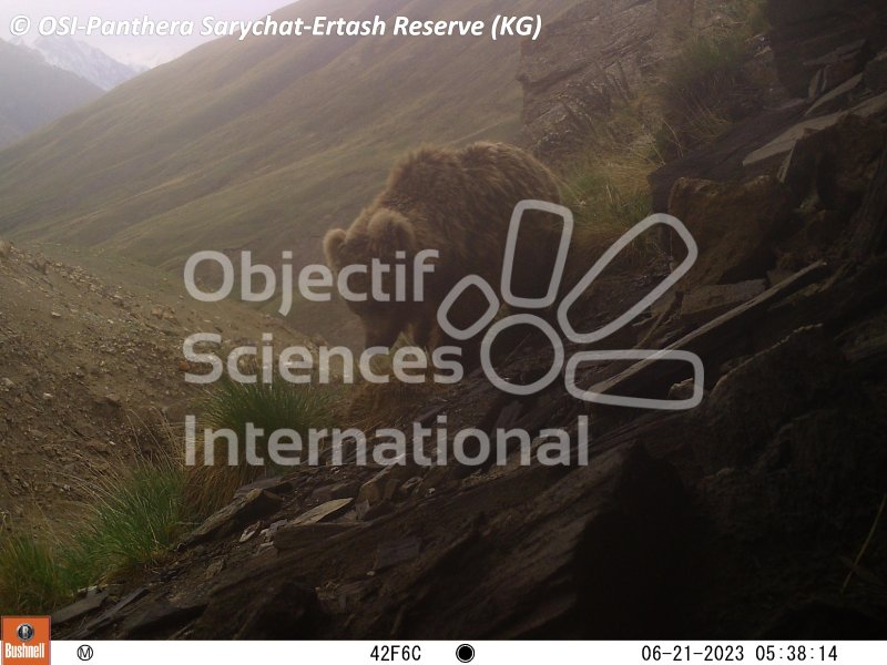 ours
Keywords: Nord de Sarychat-Ertash,Kirghizstan