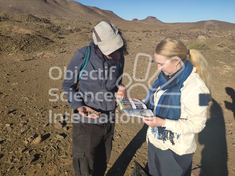 IMG_20240221_093010
Keywords: Dinosaure, Maroc, Paléo, expedition, fossiles