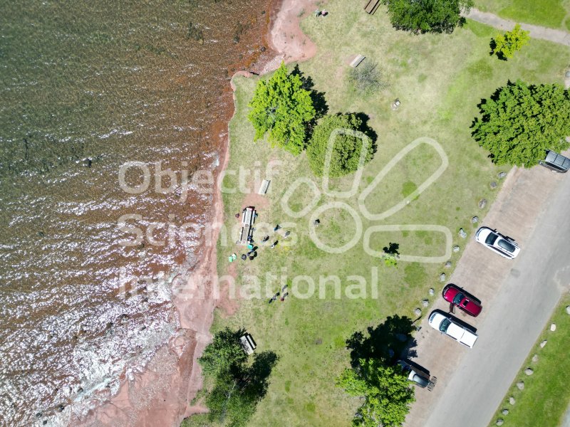 Keywords: drone,lac,plage,groupe