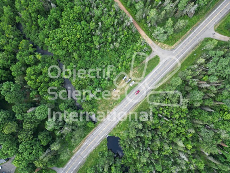 Keywords: route,usa,drone,forêt