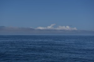 dauphin-nuage.jpg