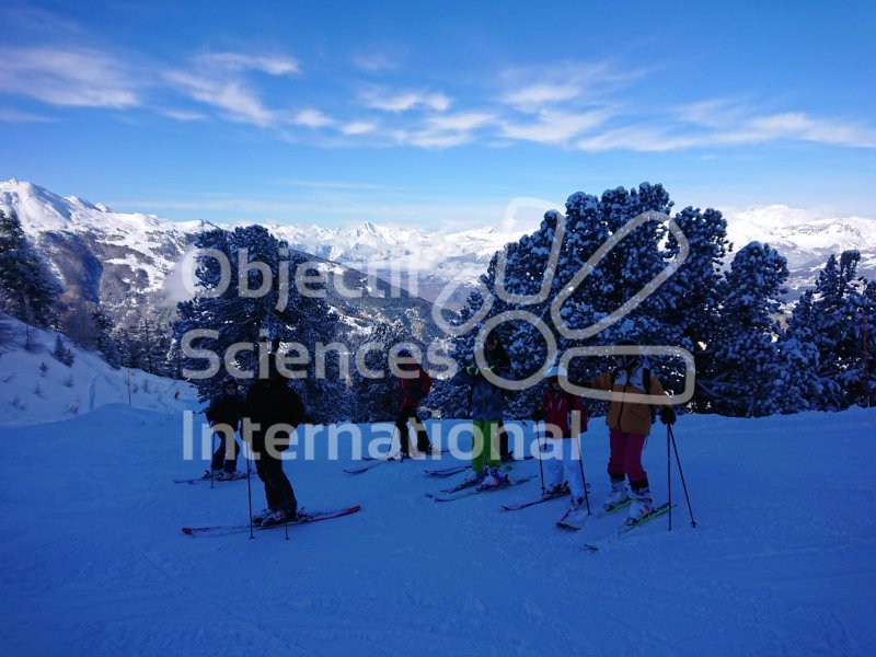 Keywords: Groupe,ski